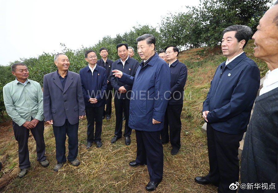 光山油茶籽榨油設備，山茶籽油榨油機廠家(圖3)