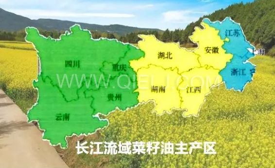 濃香菜籽油成套設備，企鵝糧油機械品質出眾(圖1)