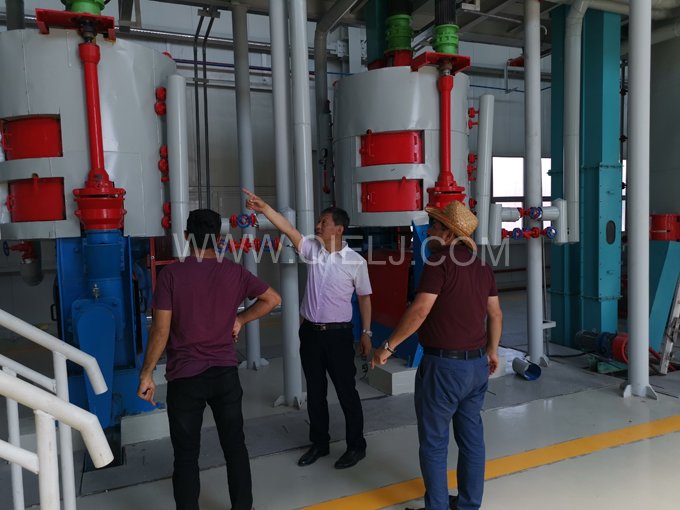 怎樣健康的選擇食用油？企鵝糧油機械為您簡單講述(圖2)